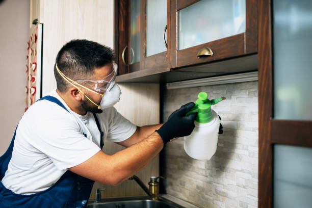 Best Pest Control Treatment  in Seal Beach, CA