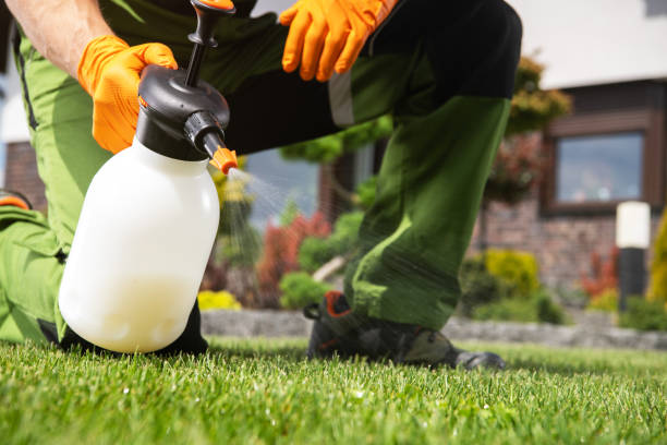 Trusted Seal Beach, CA Pest Control Experts