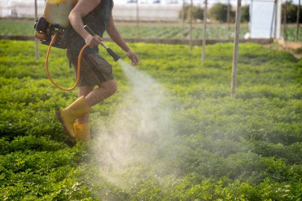 Best Wildlife Control Services  in Seal Beach, CA