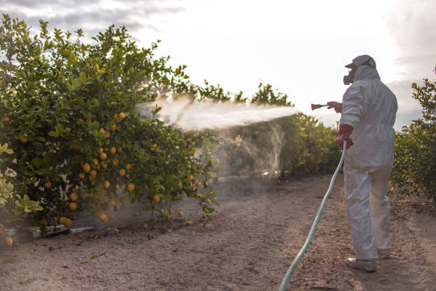 Pest Control Cost in Seal Beach, CA
