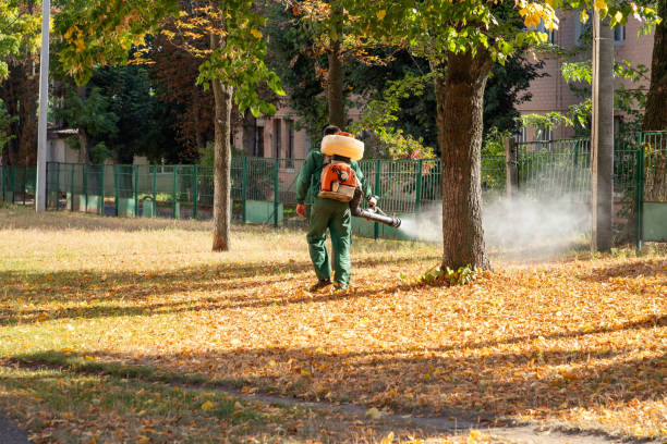 Best Mosquito Control Services  in Seal Beach, CA